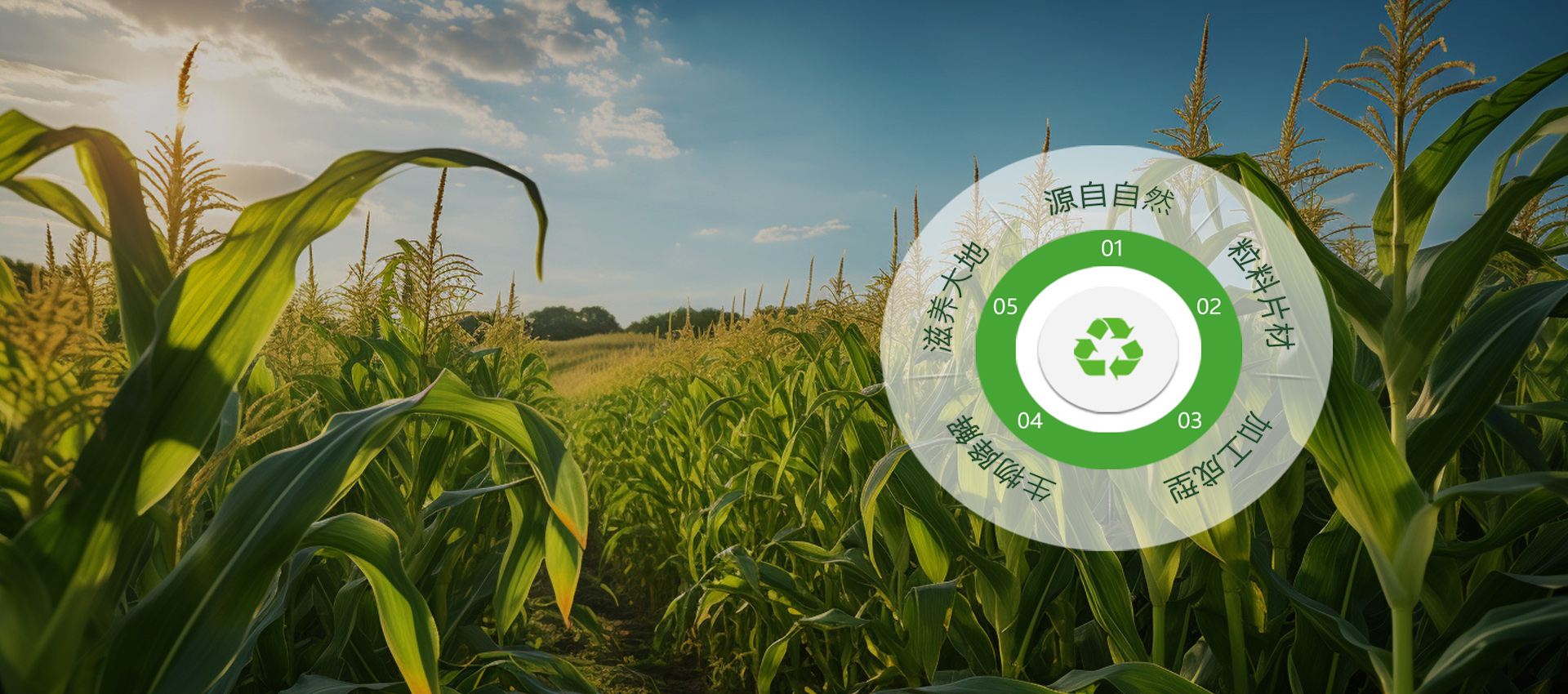 源于自然 歸于自然